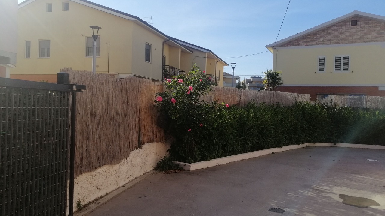 Photo of Outdoor in Pineta