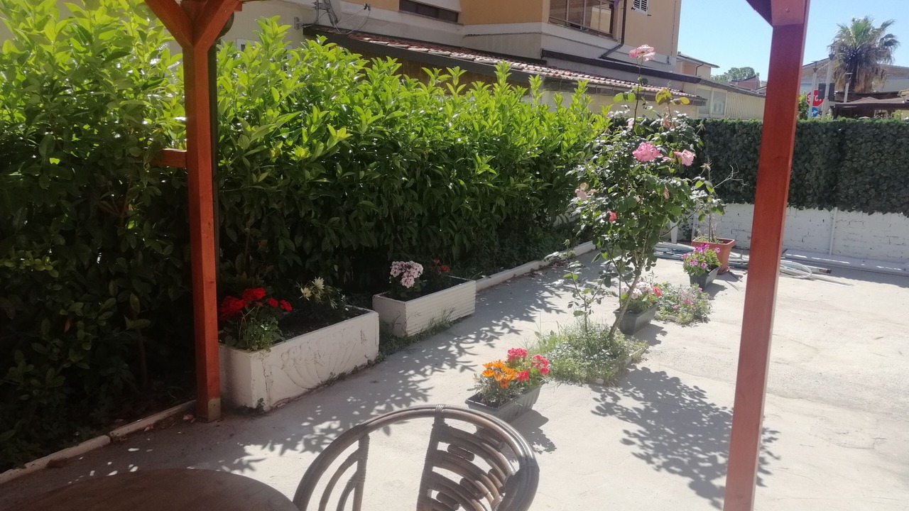 Photo of Outdoor in Pineta