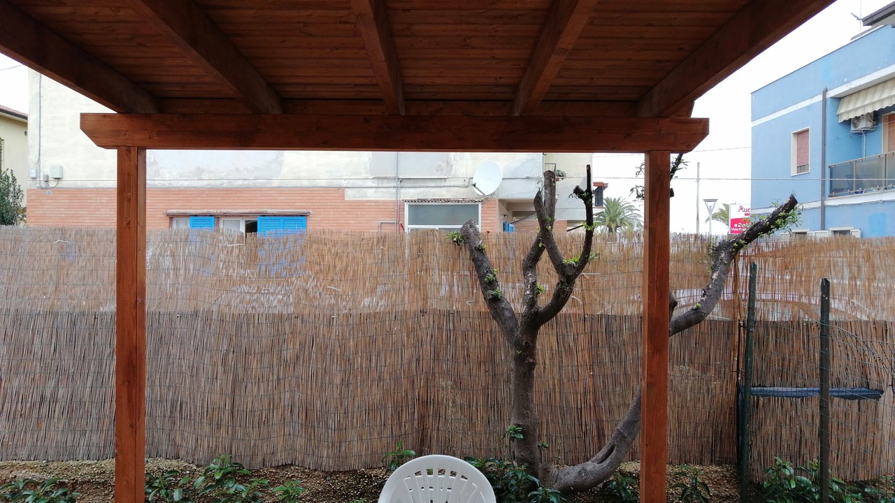 Photo of Outdoor in Pineta