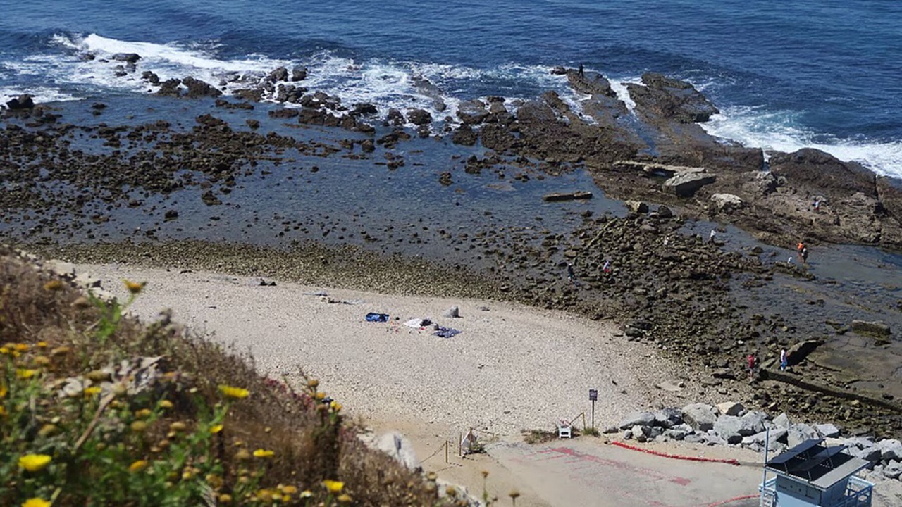 Photo of Others in Coastal San Pedro