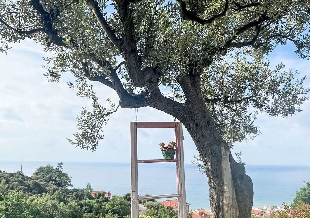 Photo of Others in Finale Ligure