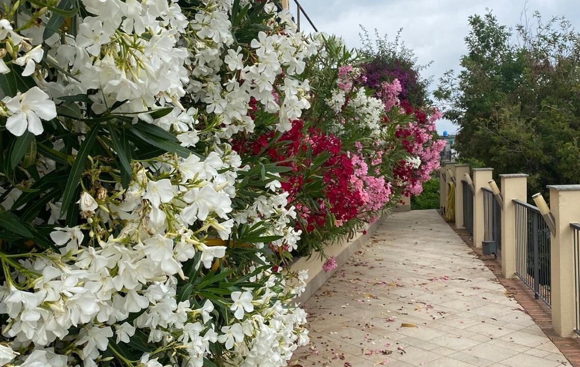 Photo of Outdoor in Nervi
