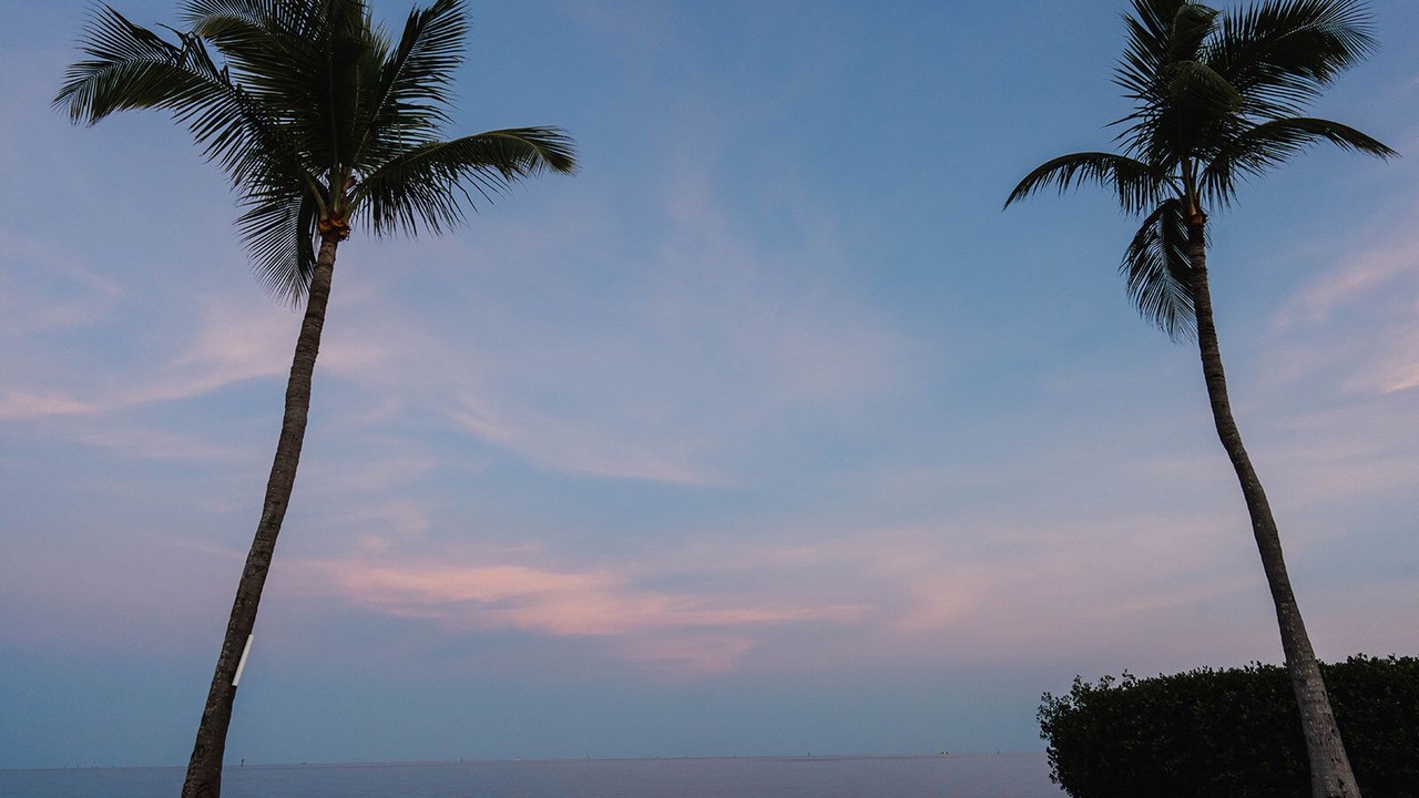 Photo of Others in Islamorada