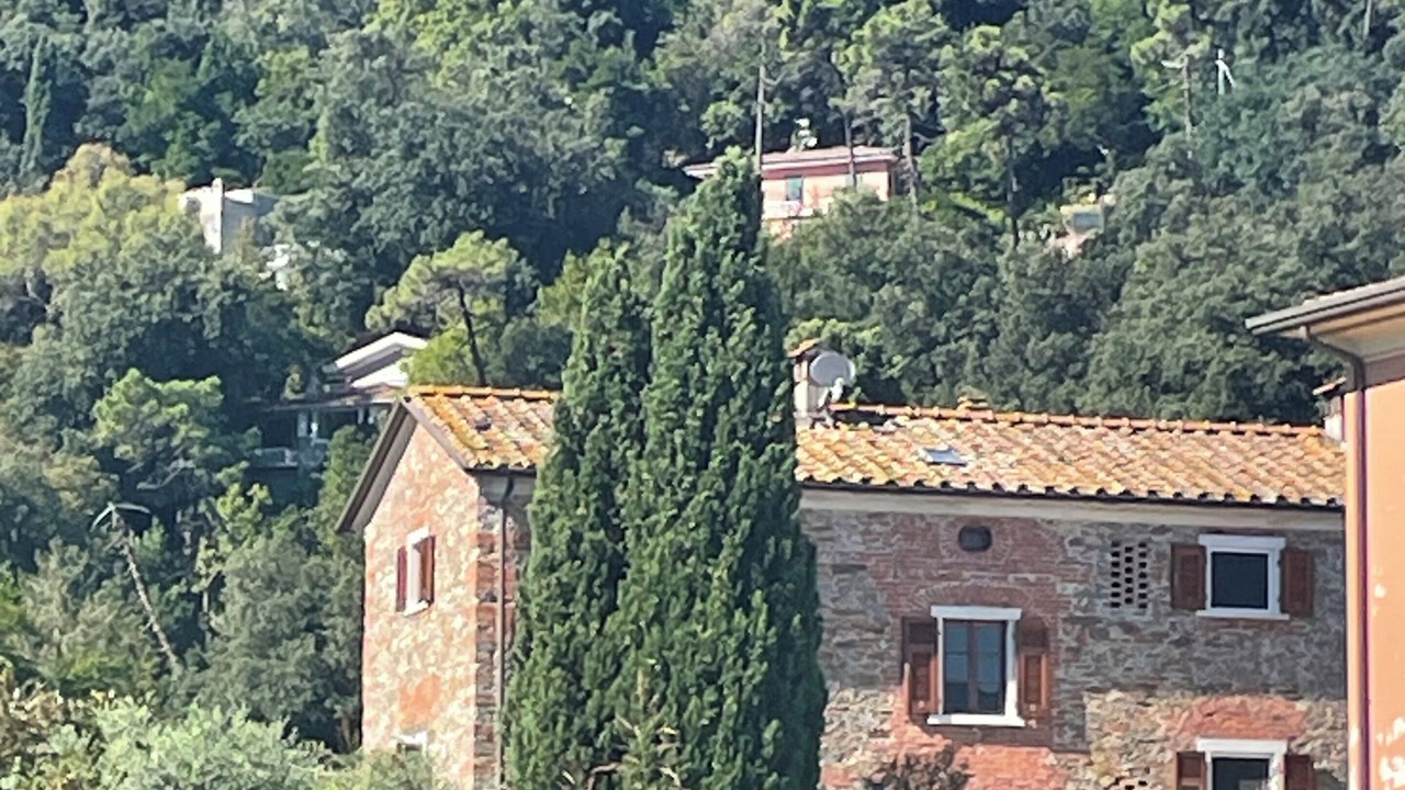Photo of Outdoor in Bocca di Magra