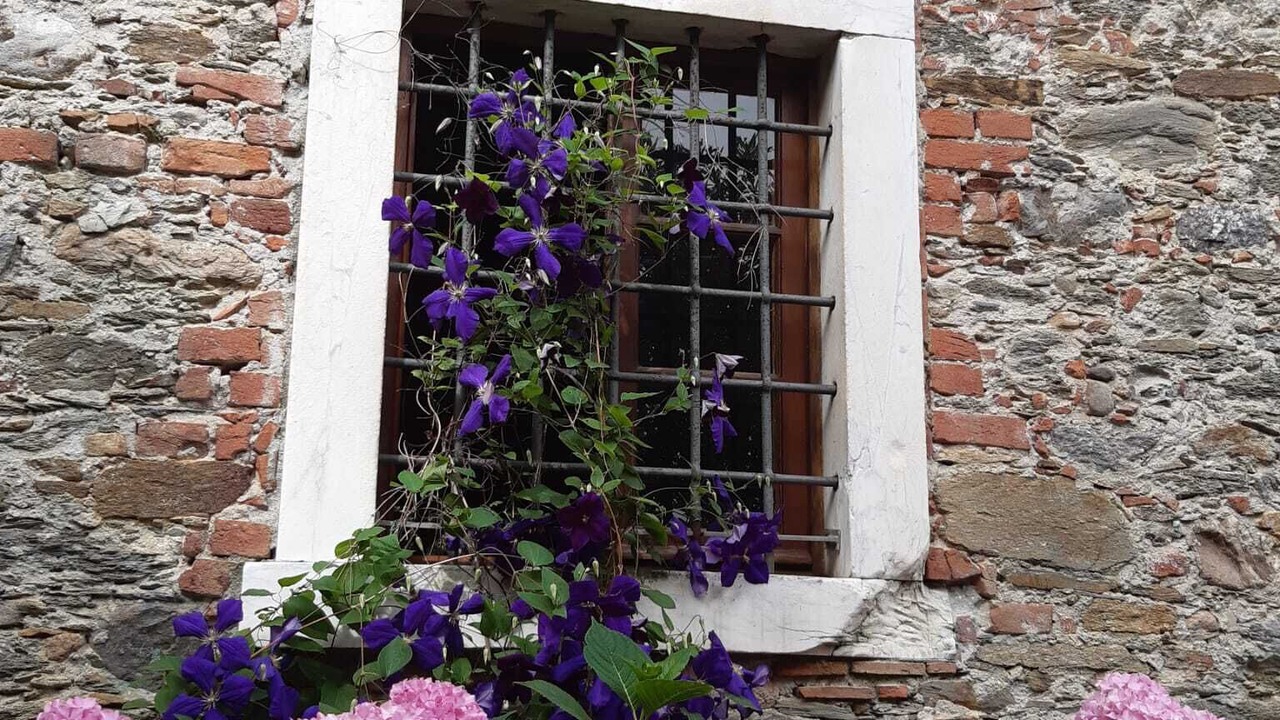 Photo of Outdoor in Bocca di Magra