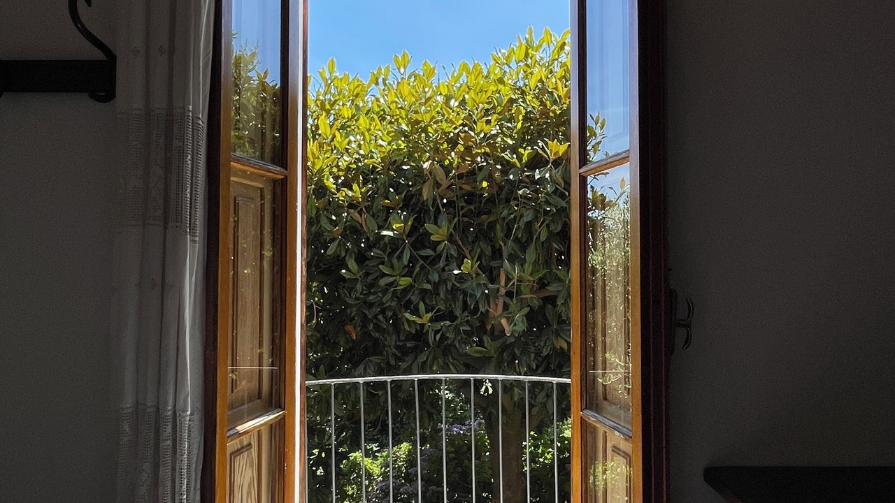 Photo of Others in Bocca di Magra