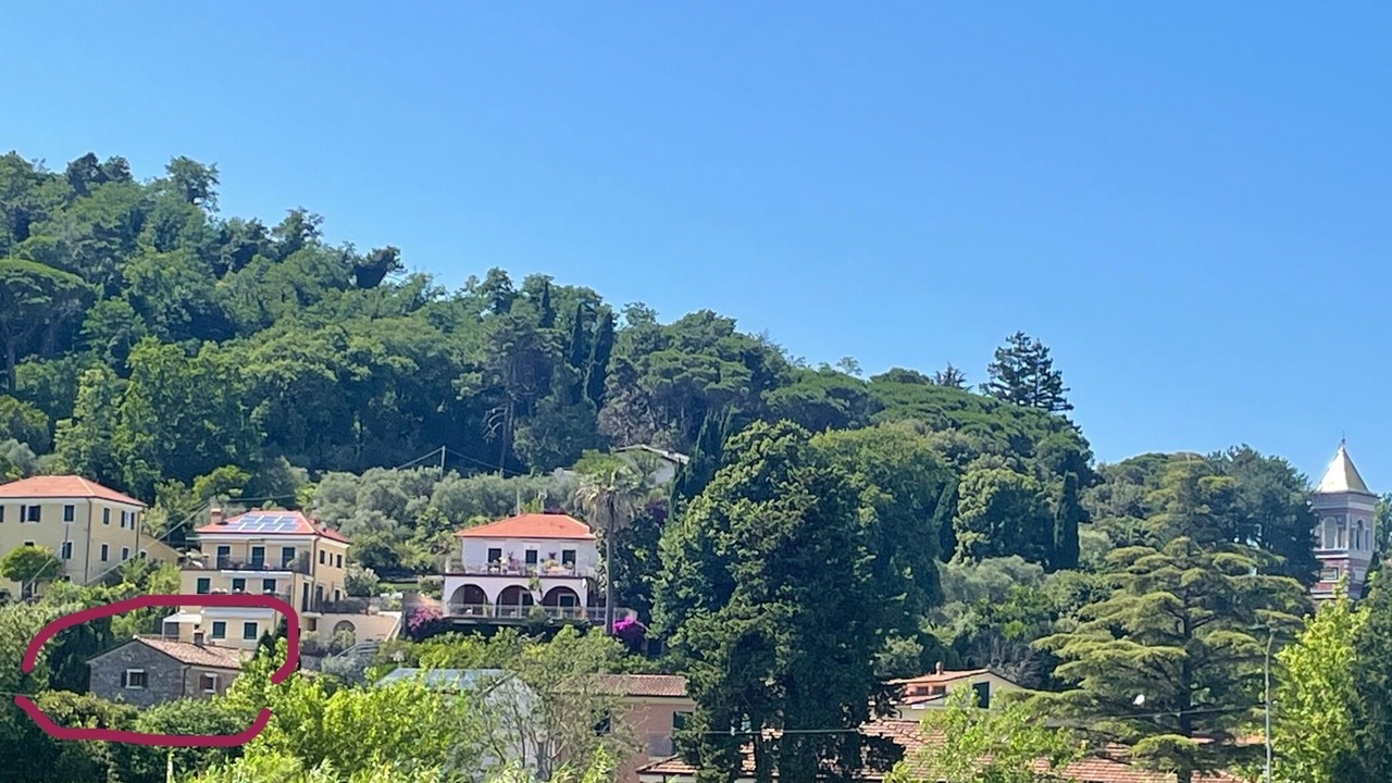 Photo of Outdoor in Bocca di Magra