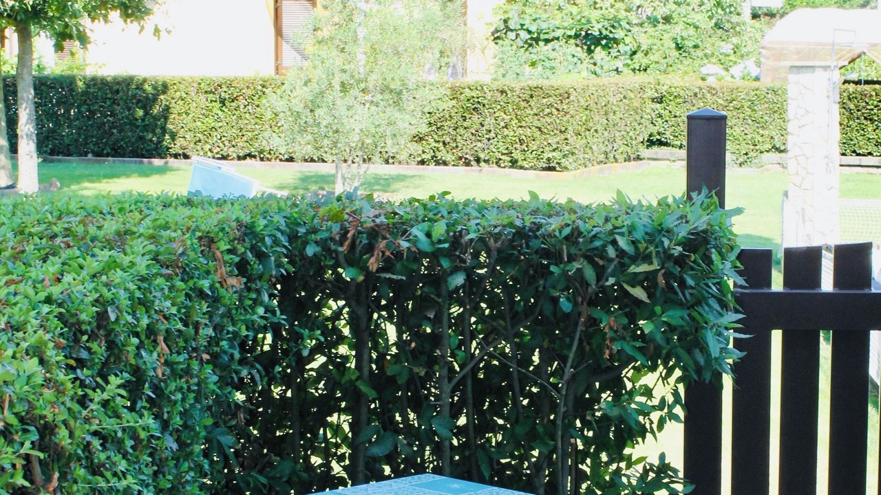 Photo of Patio Balcony in Capodimonte