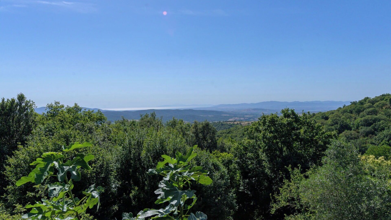 Photo of Others in Scansano