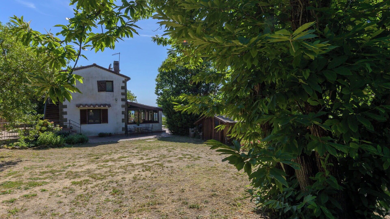 Photo of Outdoor in Scansano