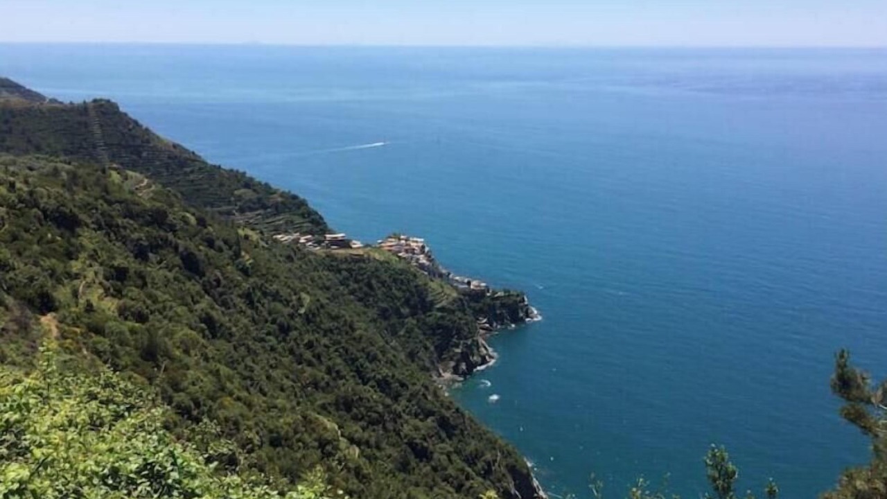 Photo of Others in Manarola