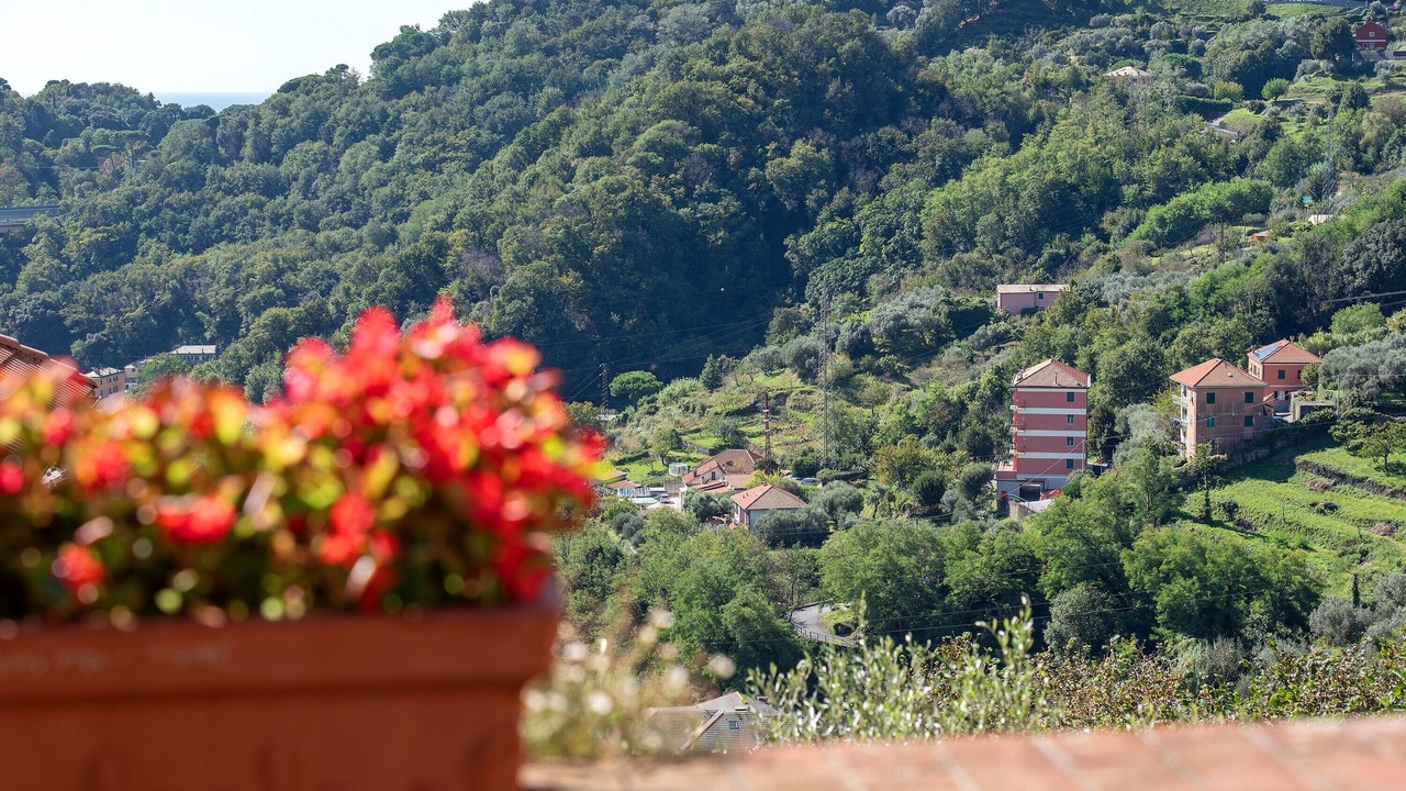 Photo of Others in Voltri