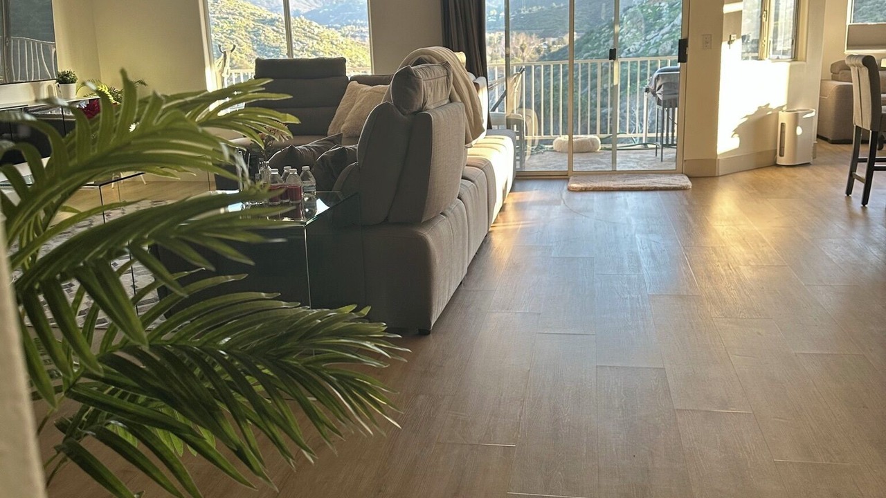 Photo of Livingroom in Canyon Lake