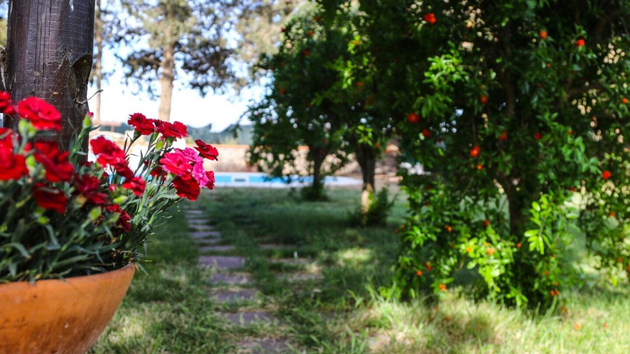 Photo of Outdoor in Campiglia Marittima