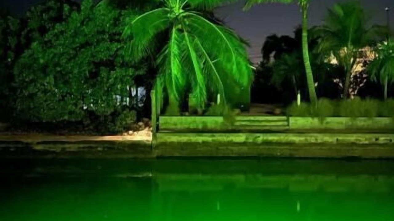 Photo of Outdoor in Summerland Key