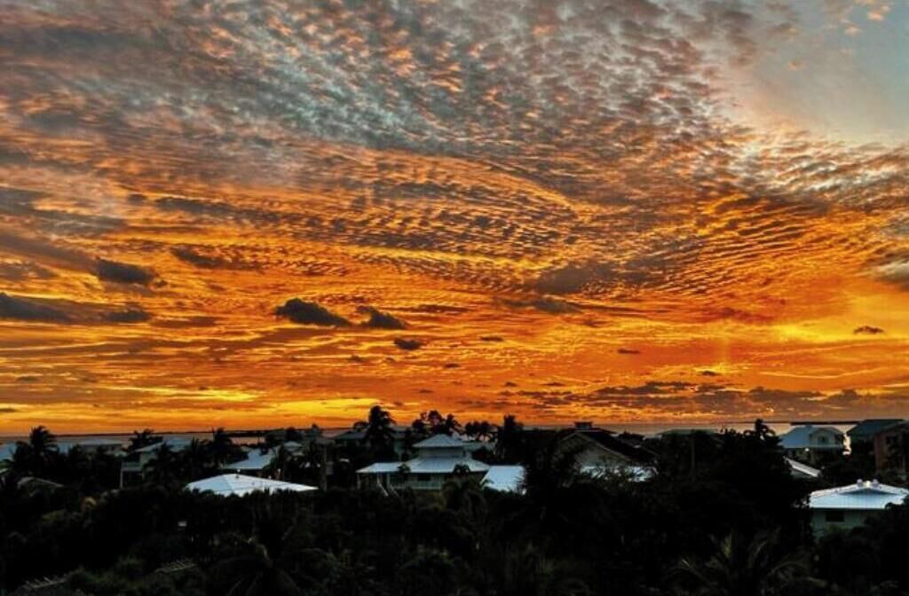 Photo of Others in Summerland Key