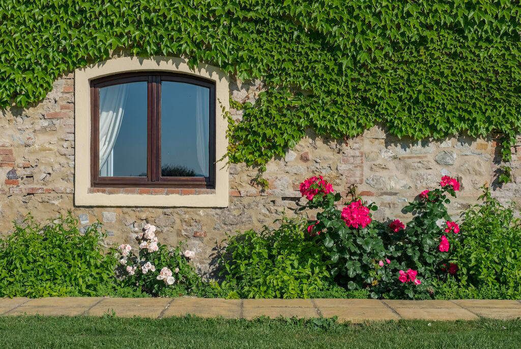 Photo of Outdoor in Castellina Marittima