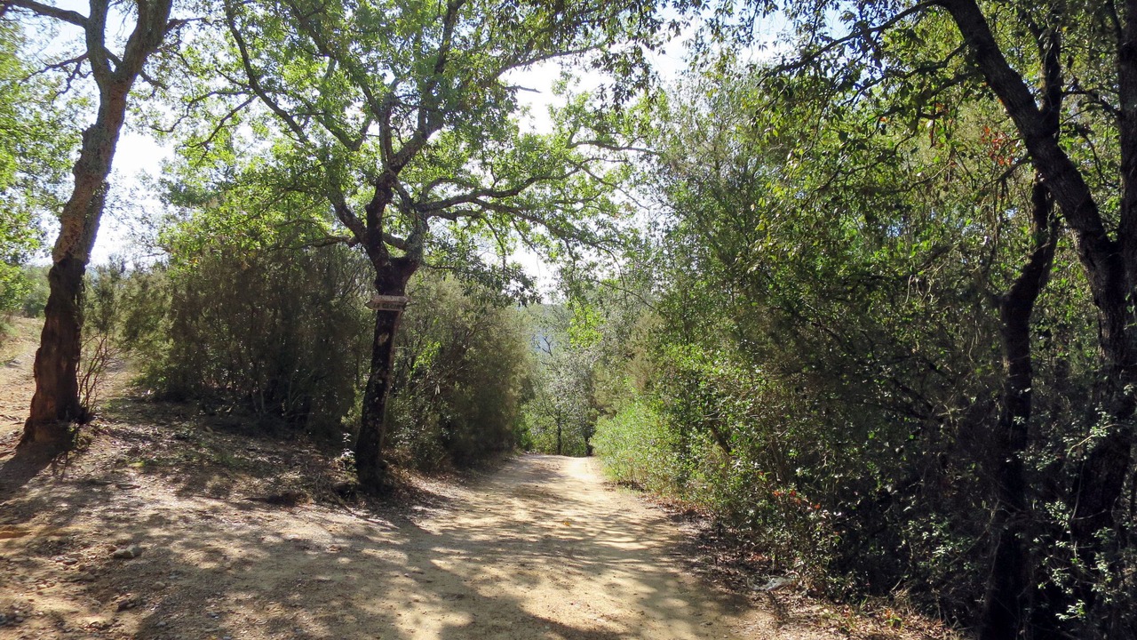 Photo of Others in Montorsaio