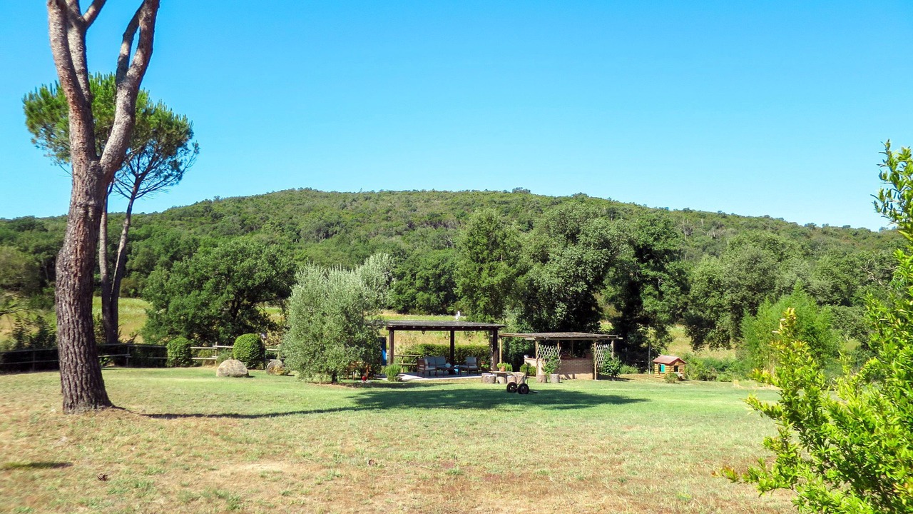 Photo of Outdoor in Montorsaio