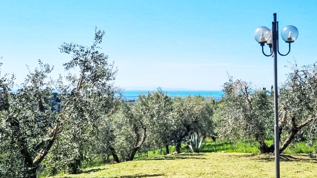 Photo of Others in Guardistallo