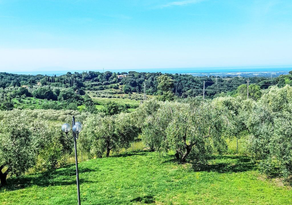 Photo of Others in Guardistallo