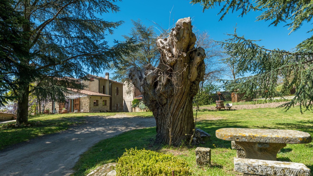Photo of Others in Sassofortino