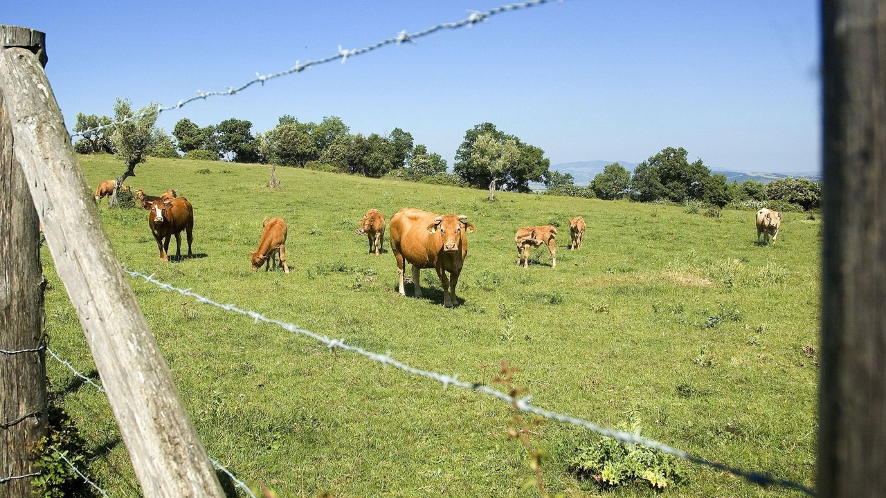 Photo of Others in San Macario In Monte