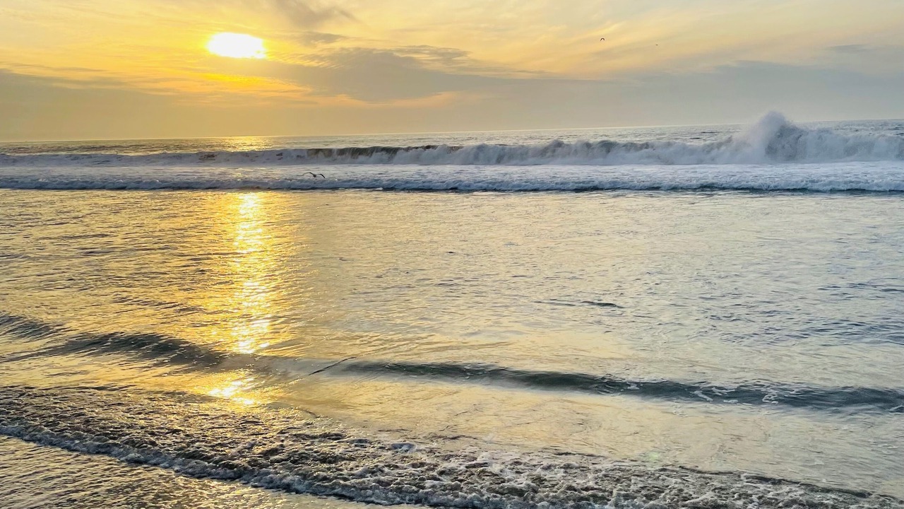 Photo of Others in South Redondo