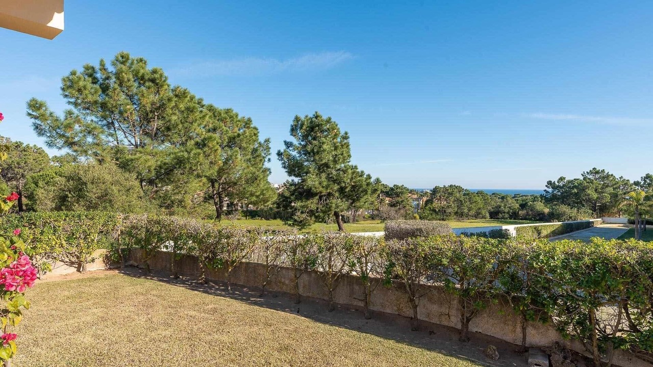 Photo of Outdoor in Sesmarias