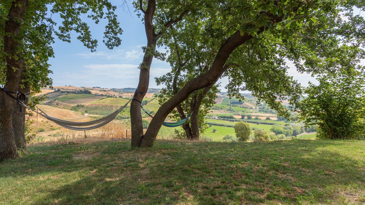 Photo of Outdoor in Citta Sant'Angelo