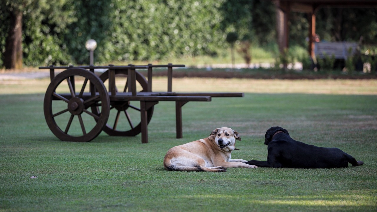 Photo of Outdoor in Genazzano