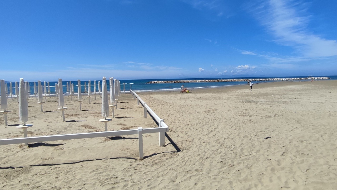 Photo of Others in Follonica