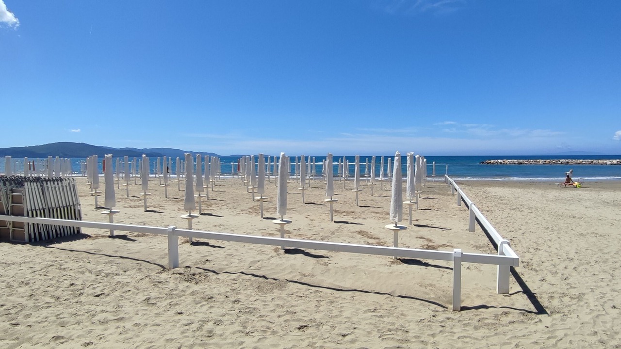 Photo of Others in Follonica