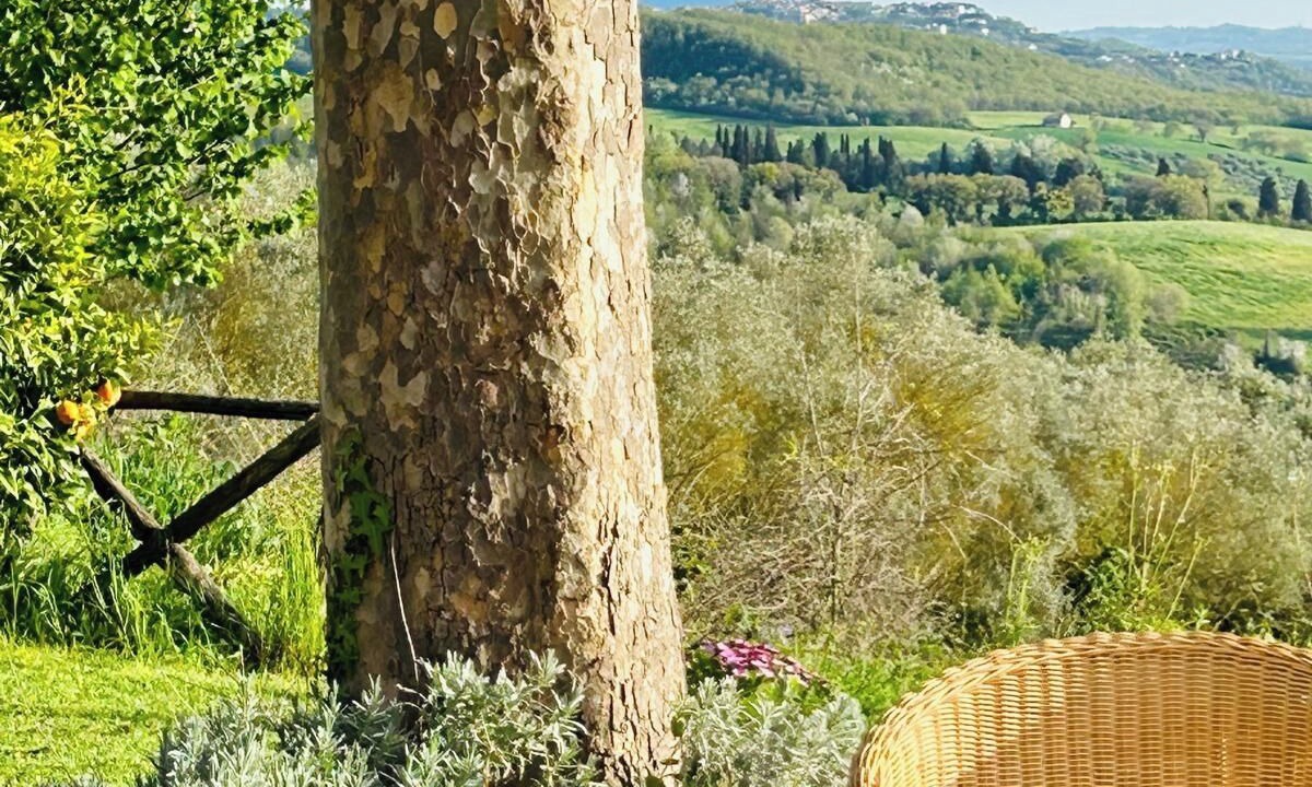 Photo of Outdoor in Otricoli