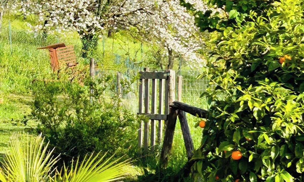 Photo of Outdoor in Otricoli