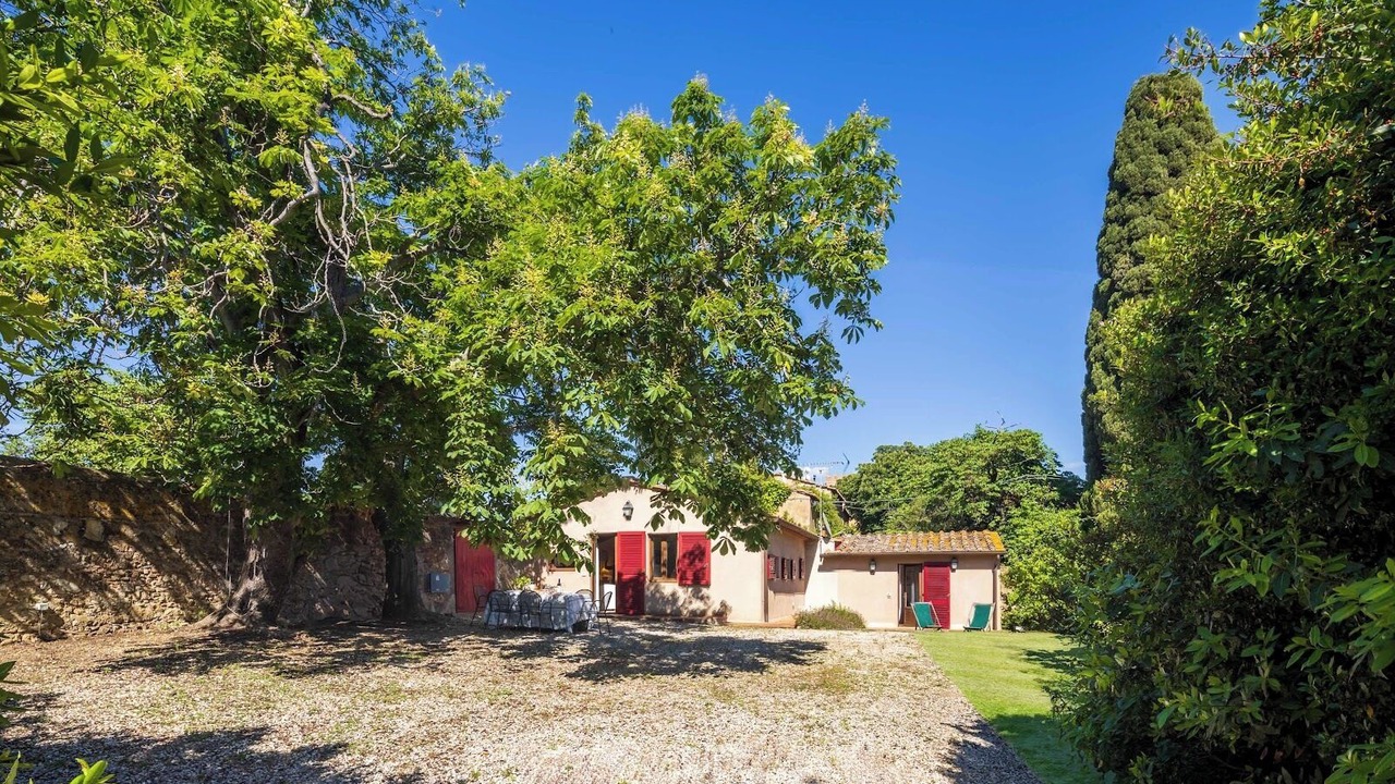 Photo of Outdoor in Bolgheri