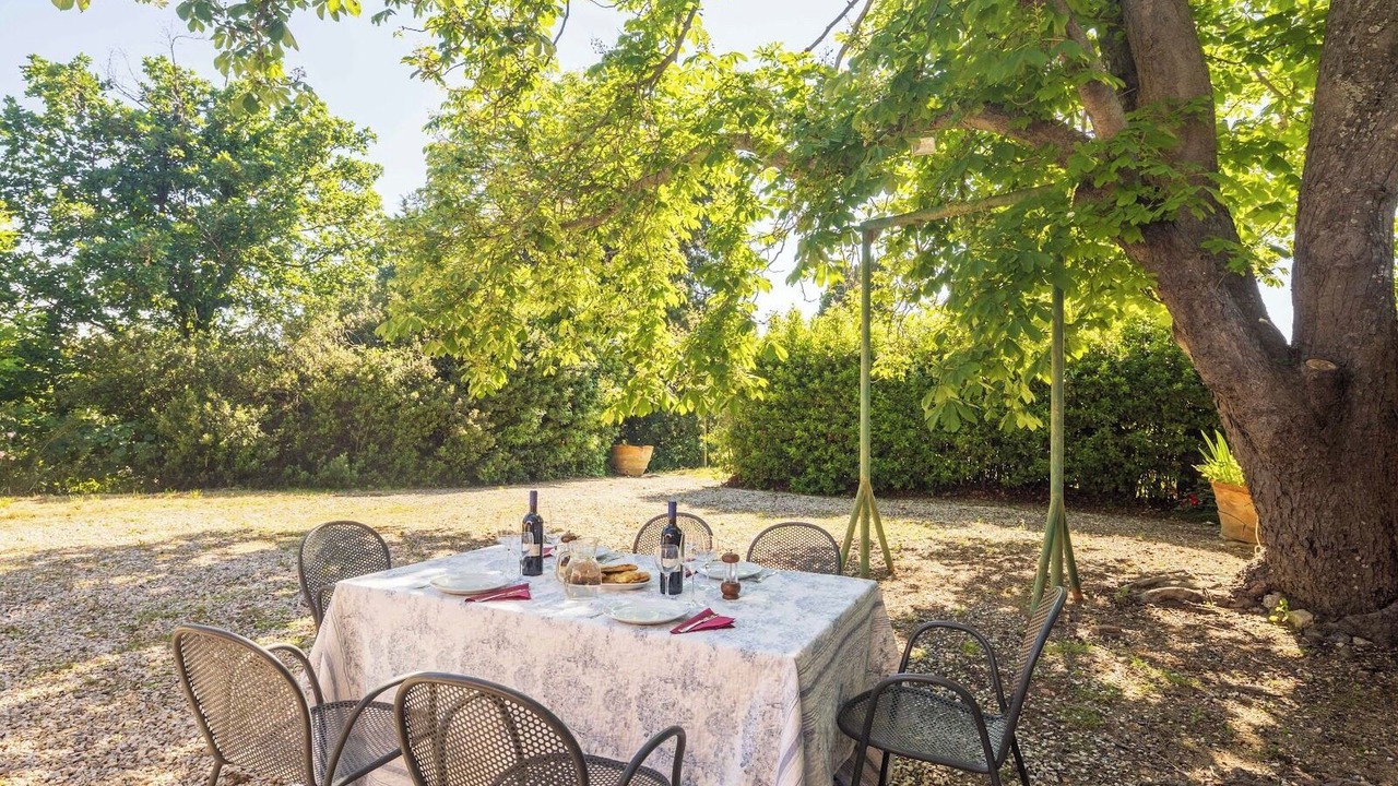 Photo of Outdoor in Bolgheri