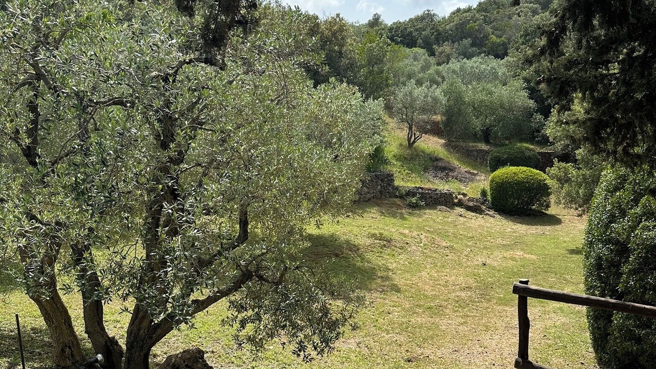 Photo of Outdoor in Porto Santo Stefano