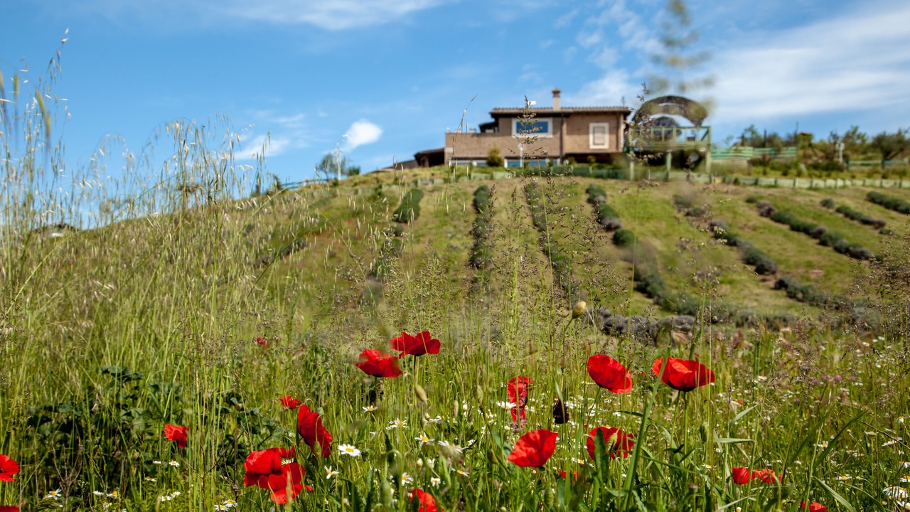 Photo of Outdoor in Mazzano Romano