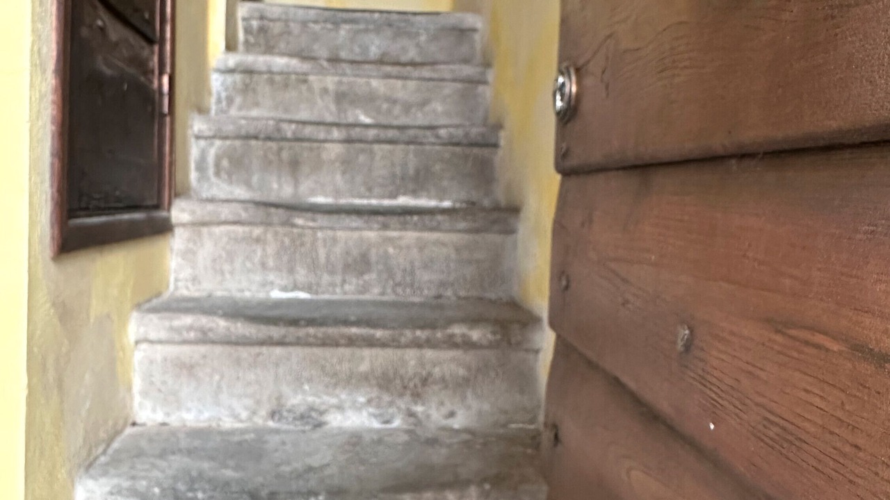 Photo of Others in Maglietola