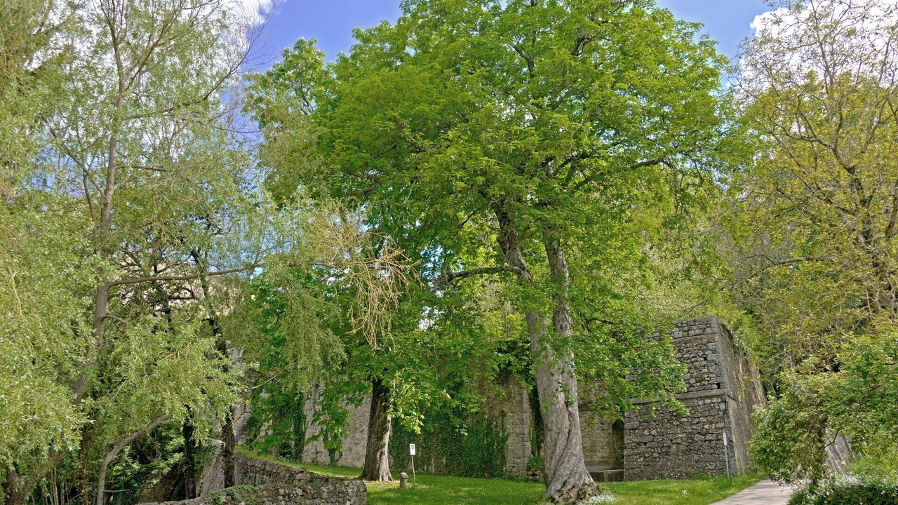 Photo of Outdoor in Vivo dʼOrcia