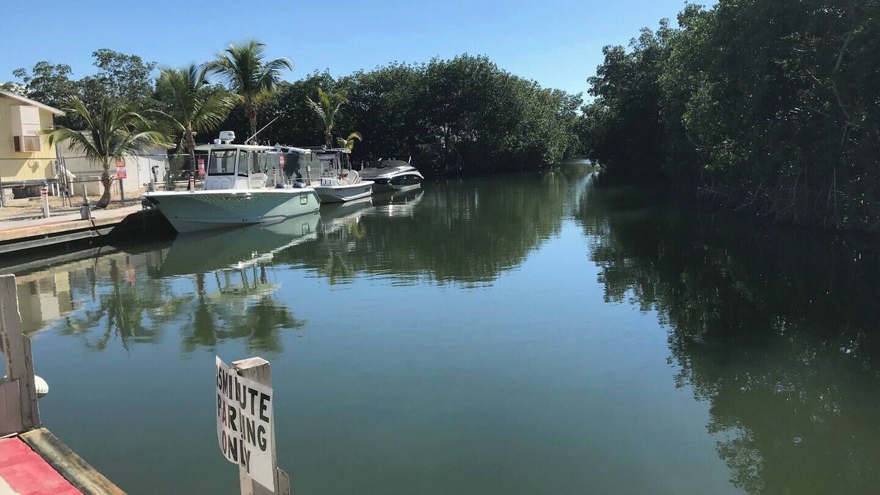 Photo of Others in Key Largo Village