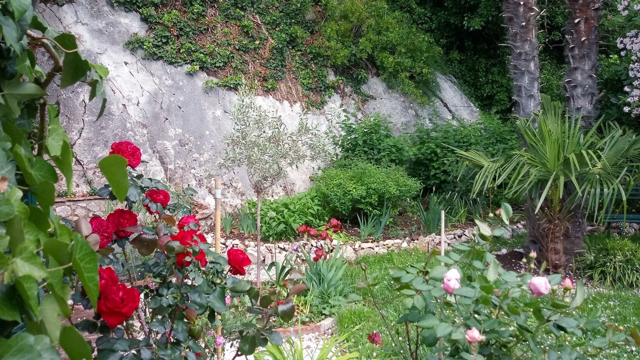 Photo of Outdoor in Cesi