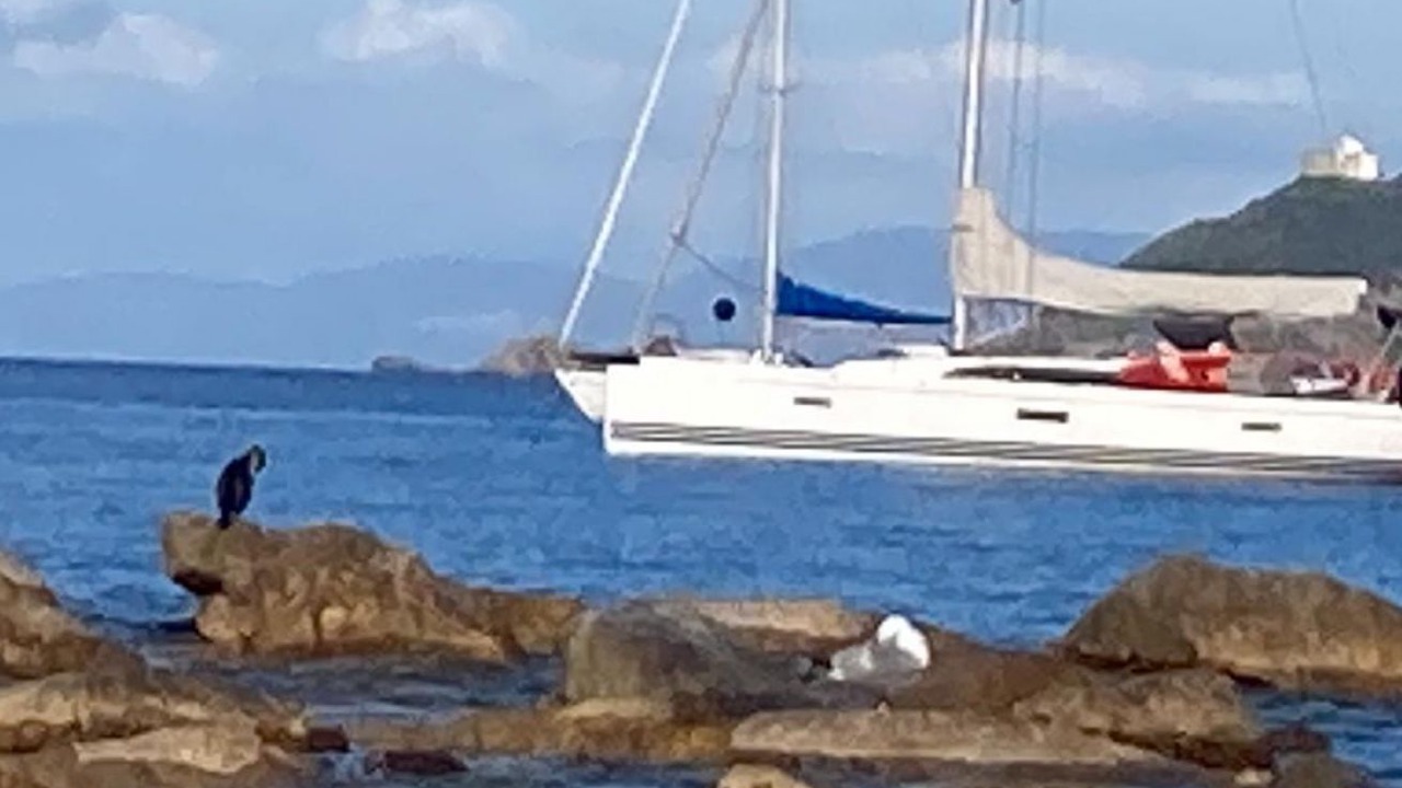 Photo of Others in Rio nell'Elba
