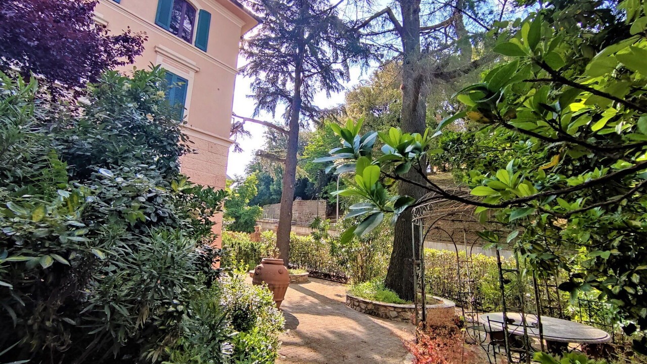 Photo of Others in Massa Marittima
