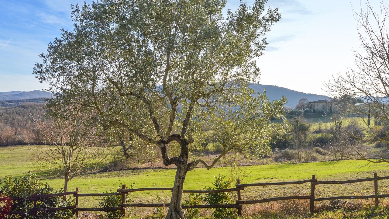 Photo of Others in Anghiari