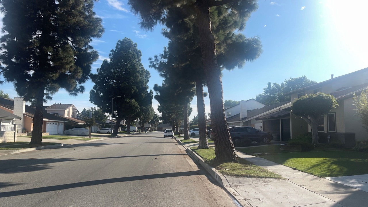Photo of Others in Santa Ana Heights