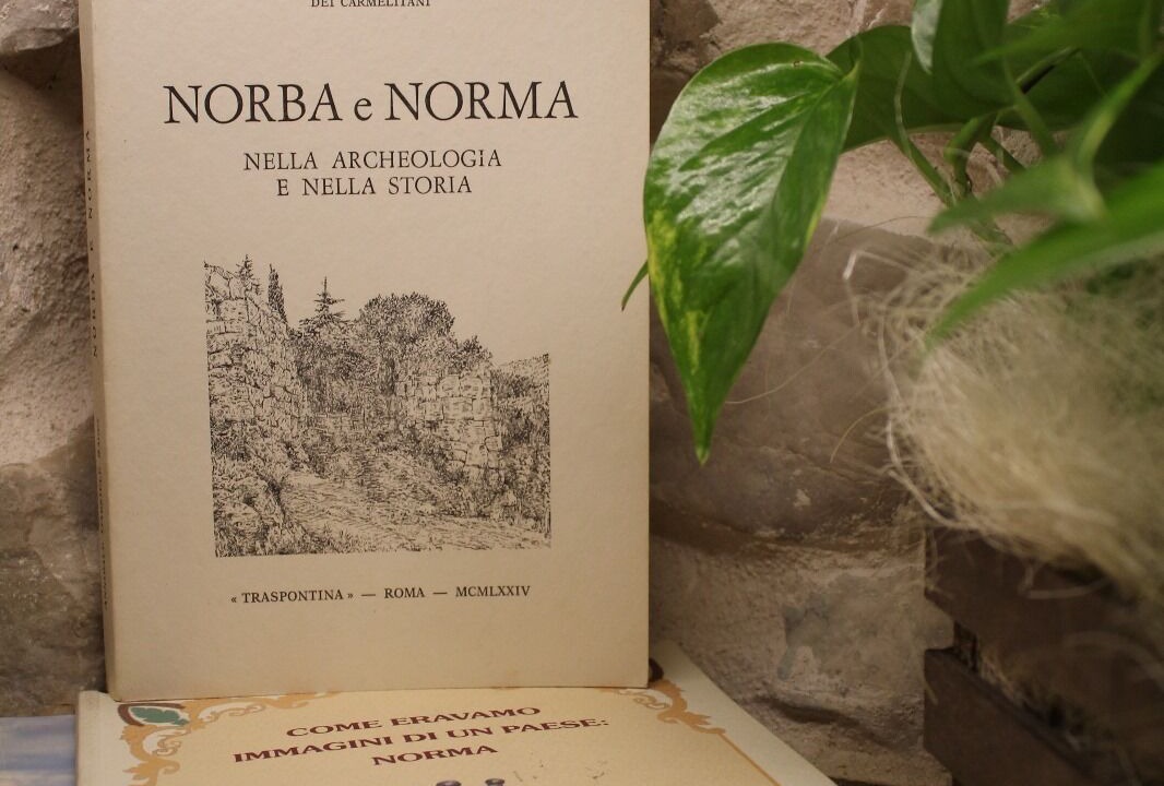 Photo of Others in Norma