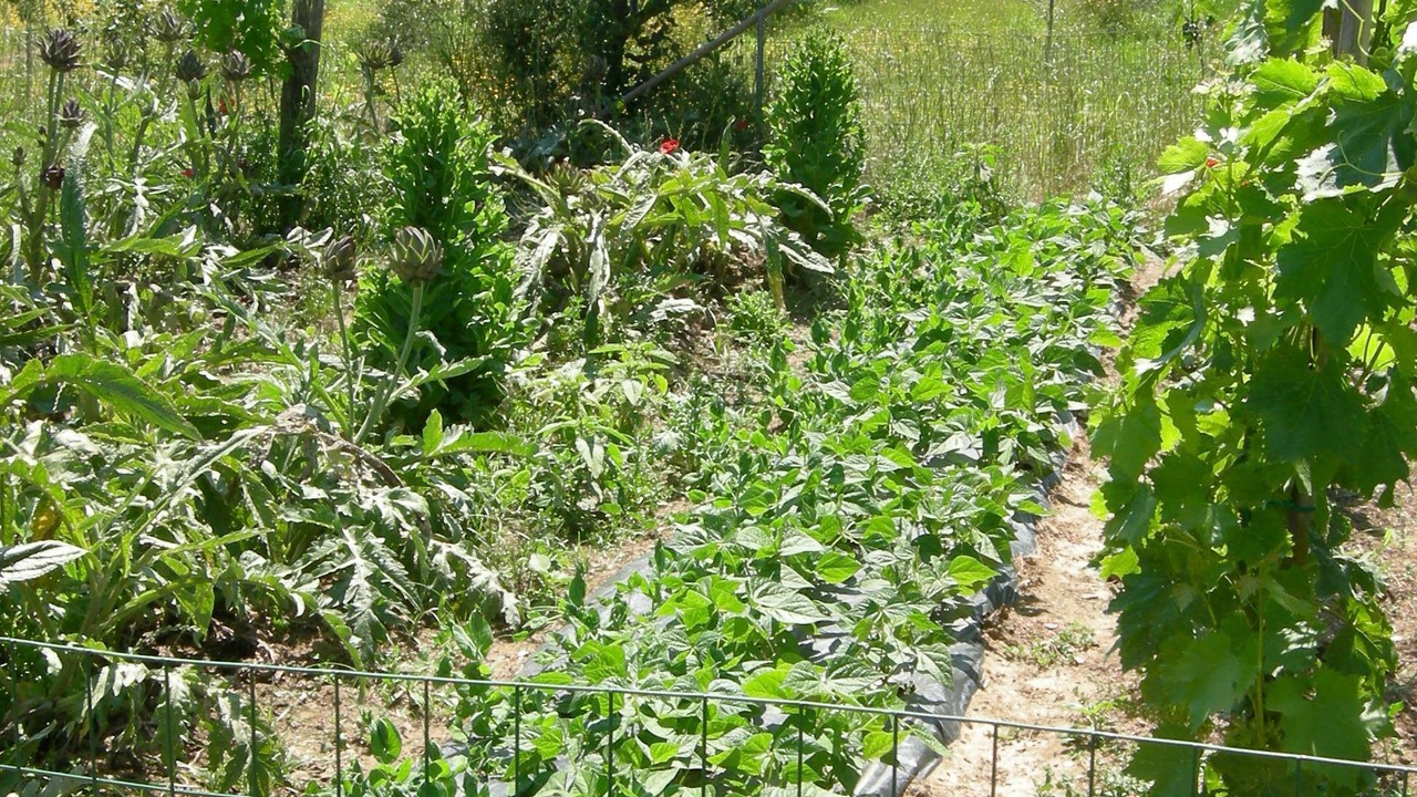 Photo of Outdoor in Castiglione della Pescaia