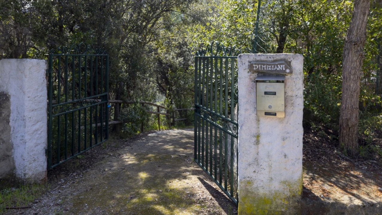 Photo of Others in Capoliveri